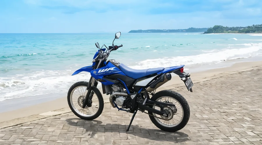 Blue Yamaha WR155R dual-sport motorcycle with tall suspension, spoked wheels and trail-oriented tyres