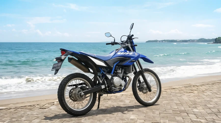 Blue Yamaha WR155R dual-sport motorcycle with tall suspension, spoked wheels and trail-oriented tyres